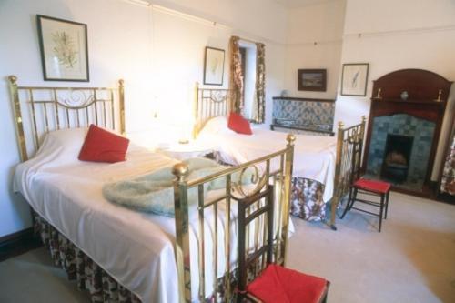 Lekkerwijn Historic Country House 프란쉬후크 객실 사진